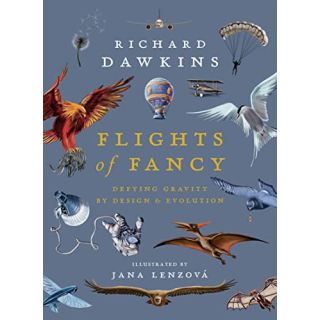 Flights of Fancy: Defying Gravity by Design and Evolution