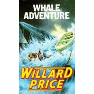 Whale Adventure