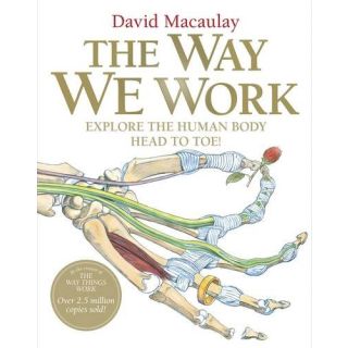 The Way We Work: Explore the Human Body Head to Toe!