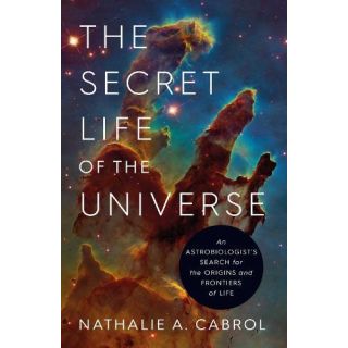 The Secret Life of the Universe (2024) New