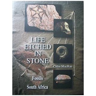 Life Etched in Stone: Fossils of South Africa
