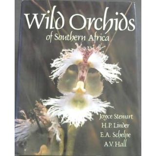 Wild Orchids of Southern Africa