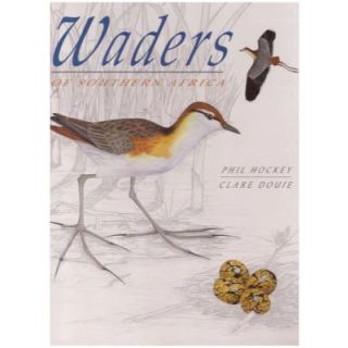 Waders of Southern Africa