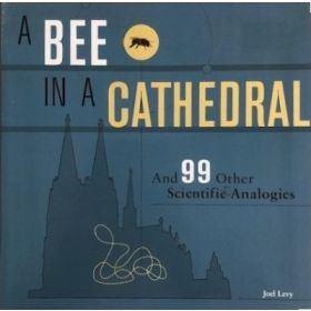 A Bee in A Cathedral and 99 Other Scientific Analogies
