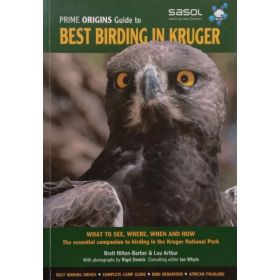 Prime Origins Guide to Best Birding in Kruger
