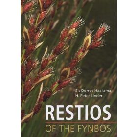 Restios of the Fynbos